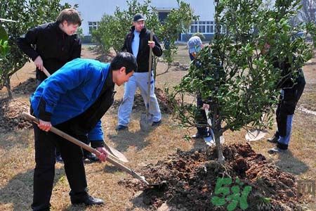 植树的方法和技巧,植树问题有什么技巧