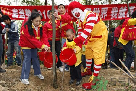 植树节树苗多少钱一颗,买树苗去哪里