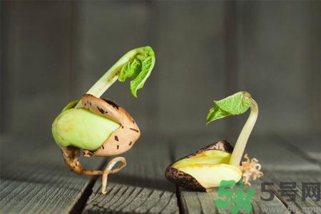 中医养生,论中医养生的意义