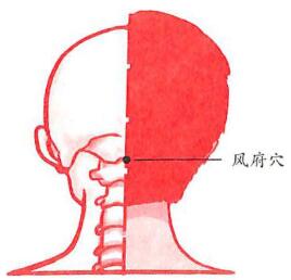 按摩风府有什么作用,按揉风府推拿图 按摩风府有什么作用,按揉风府推拿图