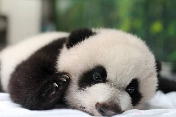 预防黑眼圈的方法,消除黑眼圈的妙招