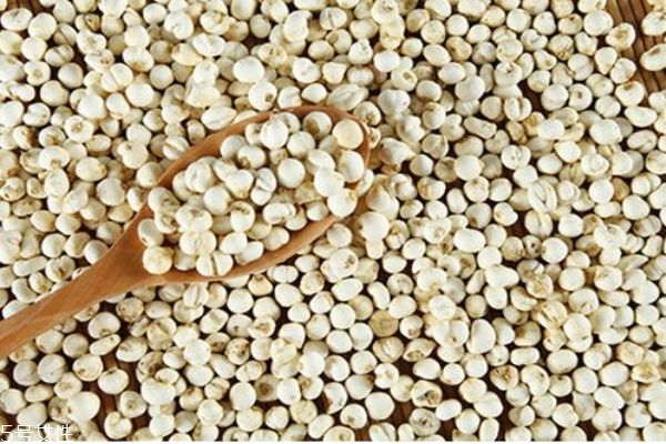 孕妇能吃川贝炖雪梨吗,孕妇能吃川贝冰糖雪梨吗