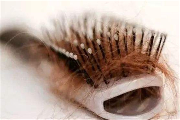 夏天掉头发特别厉害什么原因,为什么一到夏天头发就掉很多