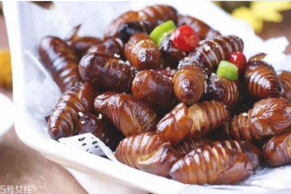 孕妇每天吃几个蚕蛹最为合适,孕妇能吃蚕蛹吗