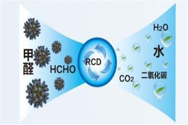 大蒜可以去除甲醛吗,洋葱大蒜可以去除甲醛吗