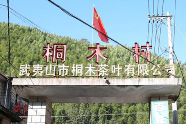 正山小种哪里产的最正宗,正山小种产地哪里最好