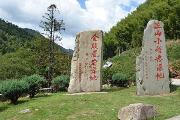正山小种多少钱一盒,正山小种价格多少钱一斤
