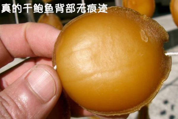 鲍鱼背上有很多小东西,干鲍鱼是怎么晒出来的