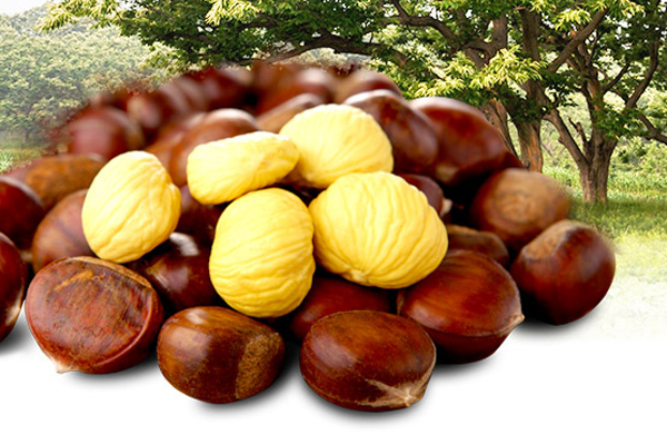 板栗的毛能吃吗,发霉的板栗可以吃吗 板栗的毛能吃吗,发霉的板栗可以吃吗