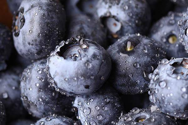 如何挑选蓝莓,蓝莓怎么选好吃 如何挑选蓝莓,蓝莓怎么选好吃