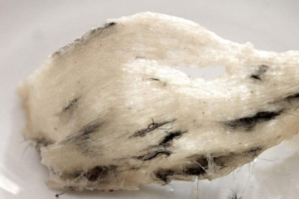 草燕窝能不能吃,燕窝可以吃吗