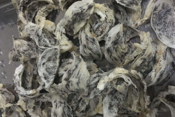 带毛的燕窝好还是不带毛的好,毛燕燕窝好不好