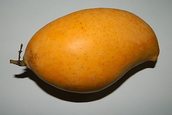 芒果哪个地方的好吃,芒果哪个地方的好