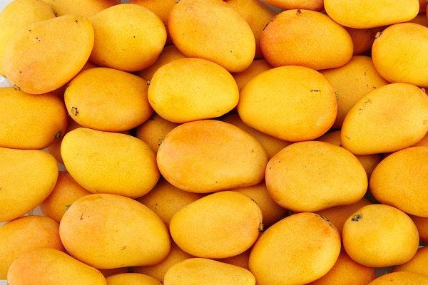 芒果怎么变软可以提前吃,芒果是不是需要放软了再吃