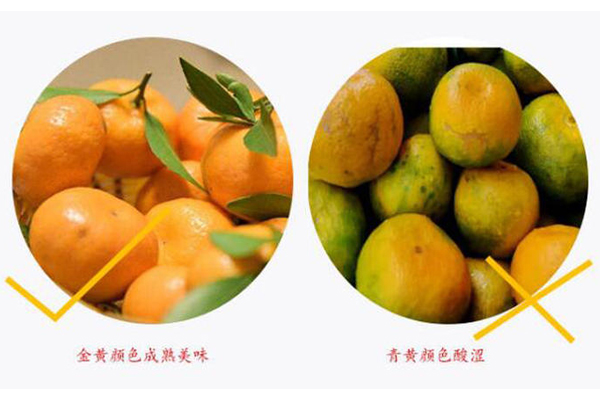 橘子什么颜色的好吃,各种橘子的颜色有哪些
