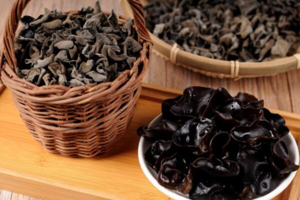 木耳好坏怎么鉴别专家视频,木耳好坏怎么鉴别