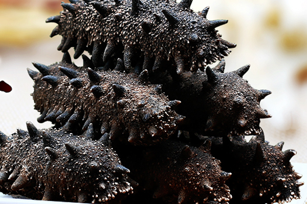 冻干海参好不好?,冻干海参有营养吗