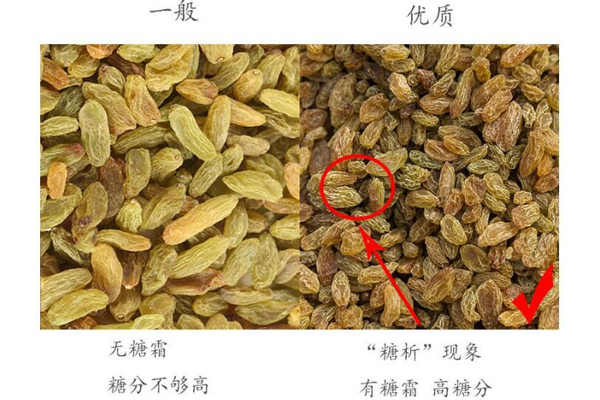 葡萄上面的白霜是什么,葡萄表面的那层白霜是什么