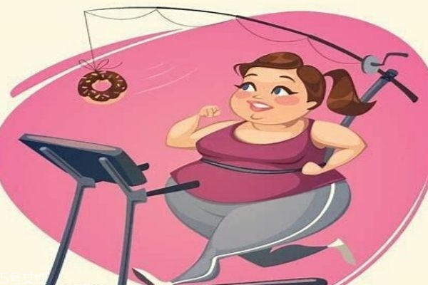 左旋肉碱怎么用效果最好,左旋肉碱是什么东西啊 左旋肉碱怎么用效果最好,左旋肉碱是什么东西啊