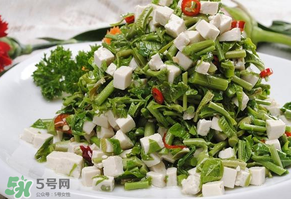 香椿什么时候吃助孕,怀孕香椿可以吃吗