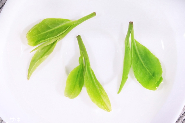 夏茶和秋茶哪个好,夏茶和秋茶的区别