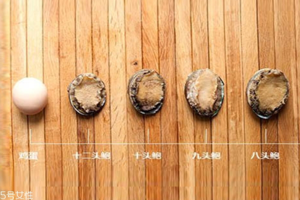 鲍鱼头数越多越好吗,鲍鱼是头数越多越好还是越少越好