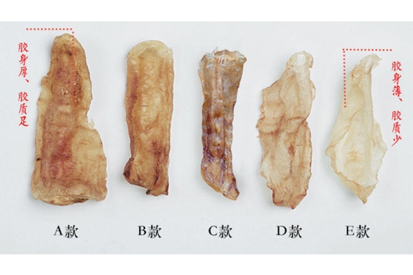花胶越厚越好吗,花胶是越厚越好,还是越大越好 花胶越厚越好吗,花胶是越厚越好,还是越大越好