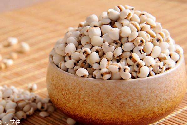 薏米是什么气味,薏米的气味 薏米是什么气味,薏米的气味
