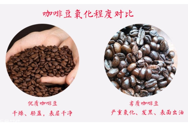 咖啡豆会氧化吗,咖啡如果氧化会怎么样