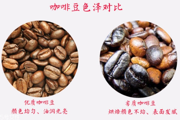 咖啡豆有油脂好吗?,什么样的咖啡豆油脂多