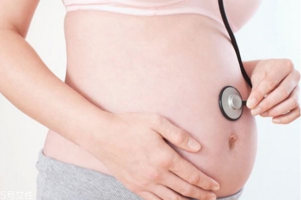 怀孕初期能吃鸭肉不,孕妇能吃鸭肉吗前三个月