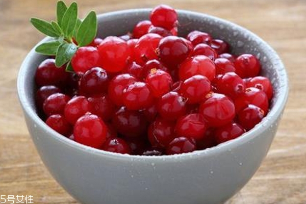 蔓越莓产地哪里的好,蔓越莓产地是哪个国家好 蔓越莓产地哪里的好,蔓越莓产地是哪个国家好