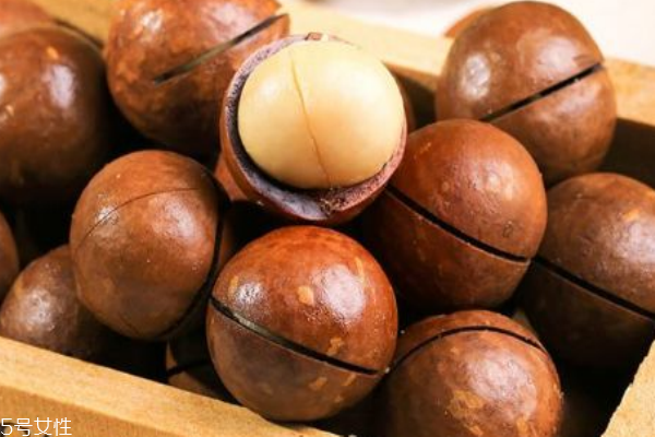 夏威夷果越大越好吗,夏威夷果大的好还是小的好