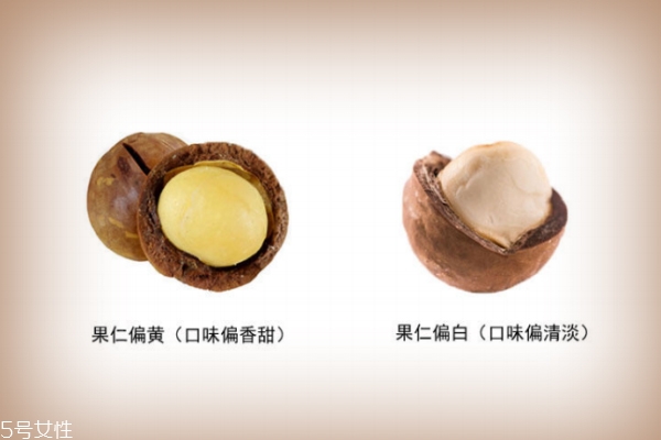 夏威夷果正常的颜色,夏威夷果肉是什么颜色