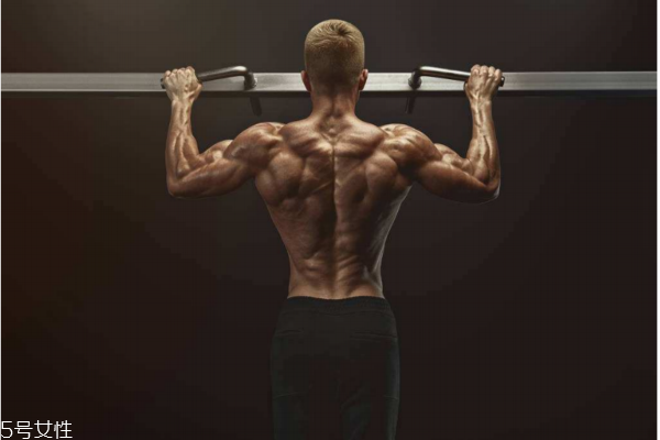 引体向上练胸肌做多少合适(引体向上练胸肌吗)