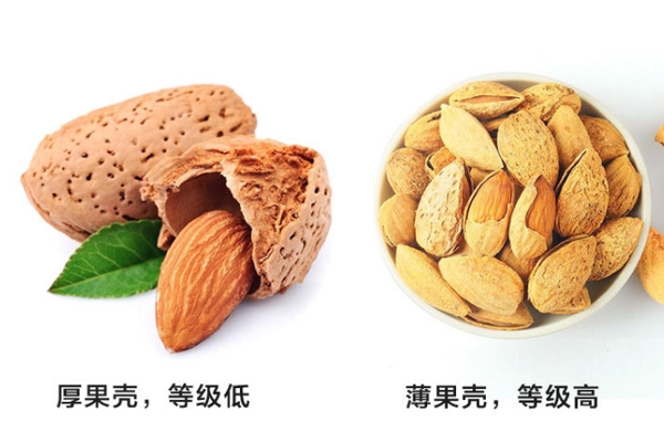 巴旦木等级怎么划分,巴旦木的四种级别