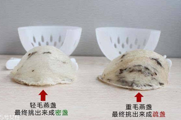 燕窝毛怎么挑比较快,燕窝毛怎么挑干净 燕窝毛怎么挑比较快,燕窝毛怎么挑干净