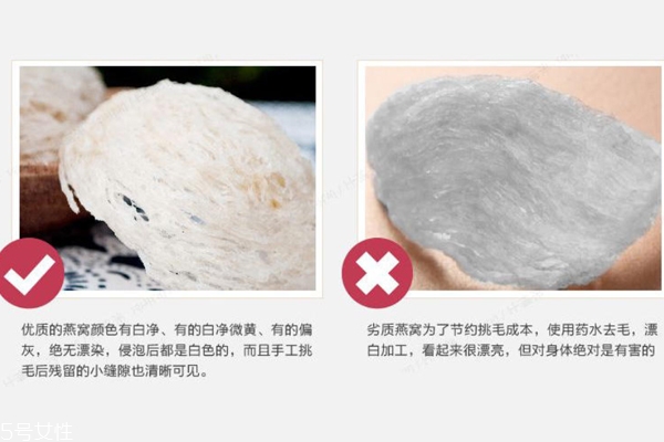 燕窝真假怎么分辨,燕窝怎么辨别真假好坏