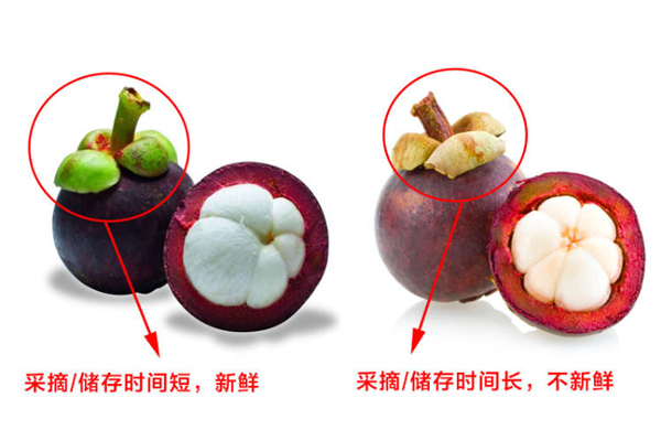 一看外表二看,一看外表二看三看三观