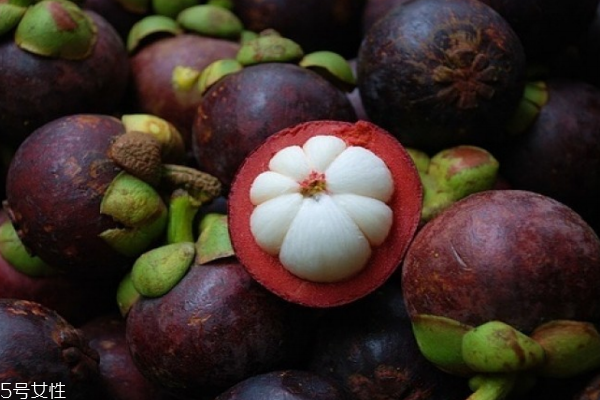 山竹哪里产的,山竹主要产地是哪里 山竹哪里产的,山竹主要产地是哪里