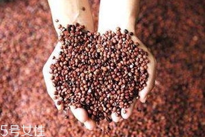 酸枣仁一次吃多少克治疗入睡困难,酸枣仁一次吃多少