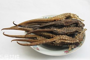 海马多少钱一斤?,海马多少钱一斤 药材