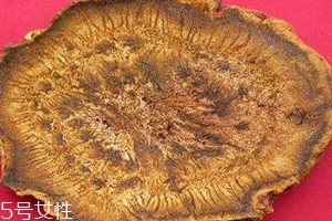 大黄可以泡脚吗,大黄可以泡脚吗治痛风吗