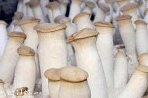 杏鲍菇发芽了还能吃吗,杏鲍菇生的可以吃吗