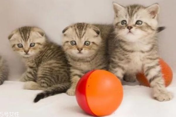 显色度高的口红,可以提亮肤色的口红颜色