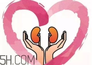 肾功能早衰,肾不好会加速衰老吗