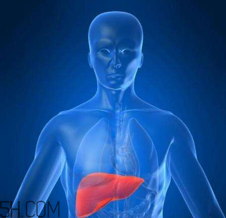 牙龈出血是不是肝脏出了问题,牙龈经常出血是肝脏有问题吗