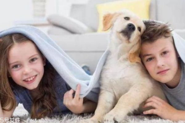 怀孕期能养宠物狗吗,怀孕能养狗吗?养对孕妇有什么影响?