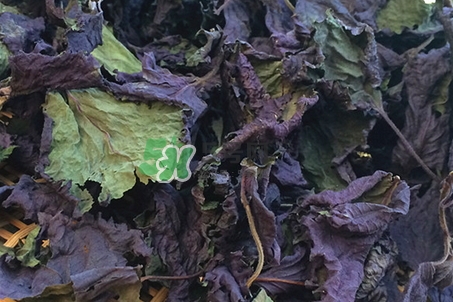 用紫苏叶泡脚有什么好处,紫苏叶子泡脚有什么好?