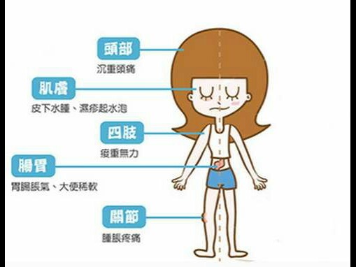 人身体湿气重的表现在哪方面,什么叫湿气重、它的表现有哪些?